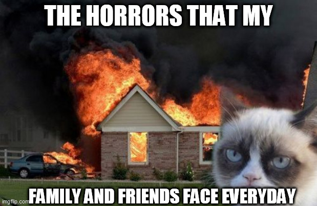 THE HORRORS THAT WE FACE EVRYDAY | THE HORRORS THAT MY; FAMILY AND FRIENDS FACE EVERYDAY | image tagged in memes,burn kitty,grumpy cat | made w/ Imgflip meme maker