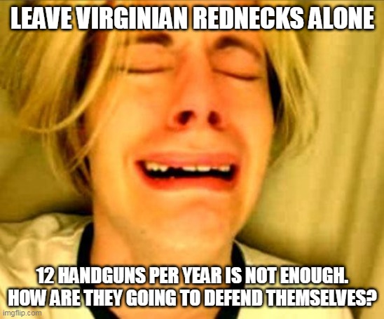Leave Britney Alone | LEAVE VIRGINIAN REDNECKS ALONE; 12 HANDGUNS PER YEAR IS NOT ENOUGH.
HOW ARE THEY GOING TO DEFEND THEMSELVES? | image tagged in leave britney alone | made w/ Imgflip meme maker