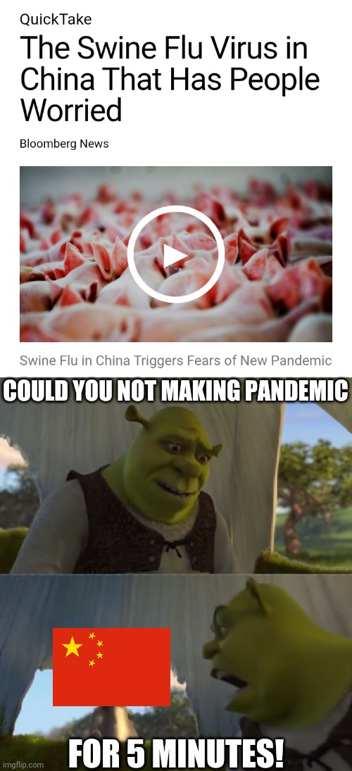 COULD YOU NOT MAKING PANDEMIC; FOR 5 MINUTES! | image tagged in could you not ___ for 5 minutes,coronavirus,covid-19,china,memes,pandemic | made w/ Imgflip meme maker