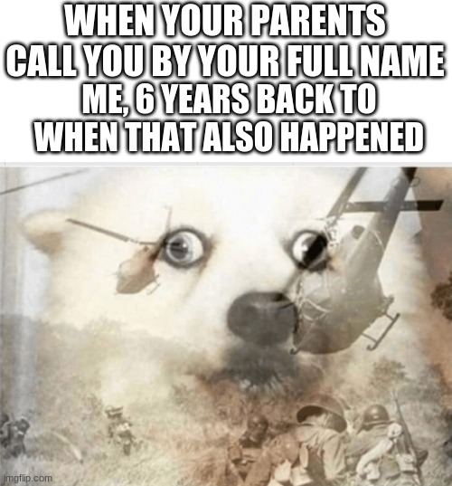 The scary stuff | WHEN YOUR PARENTS CALL YOU BY YOUR FULL NAME; ME, 6 YEARS BACK TO WHEN THAT ALSO HAPPENED | image tagged in ptsd dog,we're all doomed | made w/ Imgflip meme maker