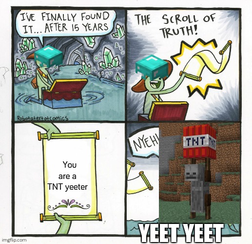 YEET YEET | You are a TNT yeeter; YEET YEET | image tagged in memes,the scroll of truth | made w/ Imgflip meme maker