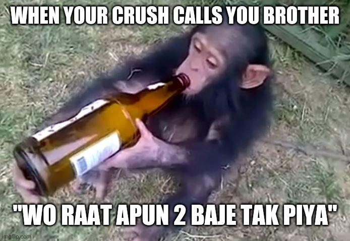 Crush | WHEN YOUR CRUSH CALLS YOU BROTHER; "WO RAAT APUN 2 BAJE TAK PIYA" | image tagged in monkey on booze | made w/ Imgflip meme maker