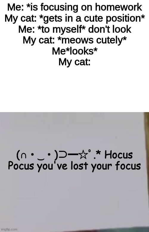 Me: *is focusing on homework
My cat: *gets in a cute position*
Me: *to myself* don't look
My cat: *meows cutely*
Me*looks*
My cat:; (∩・‿・)⊃━☆ﾟ.* Hocus Pocus you've lost your focus | image tagged in blank white template,paper,helo,bye,cats | made w/ Imgflip meme maker
