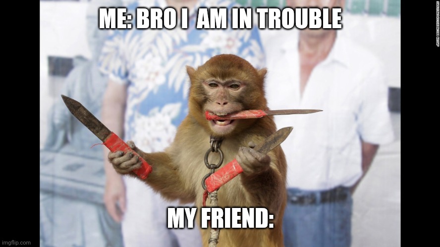 Monkey with Knives | ME: BRO I  AM IN TROUBLE; MY FRIEND: | image tagged in monkey | made w/ Imgflip meme maker