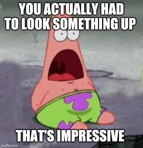 Suprised Patrick | YOU ACTUALLY HAD TO LOOK SOMETHING UP THAT'S IMPRESSIVE | image tagged in suprised patrick | made w/ Imgflip meme maker