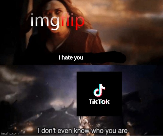 Tiktok | I hate you | image tagged in memes,funny,you took everything from me - i don't even know who you are,imgflip,tiktok | made w/ Imgflip meme maker