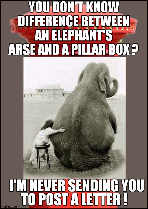 Elephant Vs Pillar Box | YOU DON'T KNOW DIFFERENCE BETWEEN AN ELEPHANT'S ARSE AND A PILLAR BOX ? I'M NEVER SENDING YOU; TO POST A LETTER ! | image tagged in fun,elephant,pillar box,letter | made w/ Imgflip meme maker