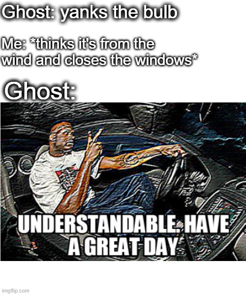 Understandable have a great day | Ghost: yanks the bulb; Me: *thinks it's from the wind and closes the windows*; Ghost: | image tagged in understandable have a great day | made w/ Imgflip meme maker