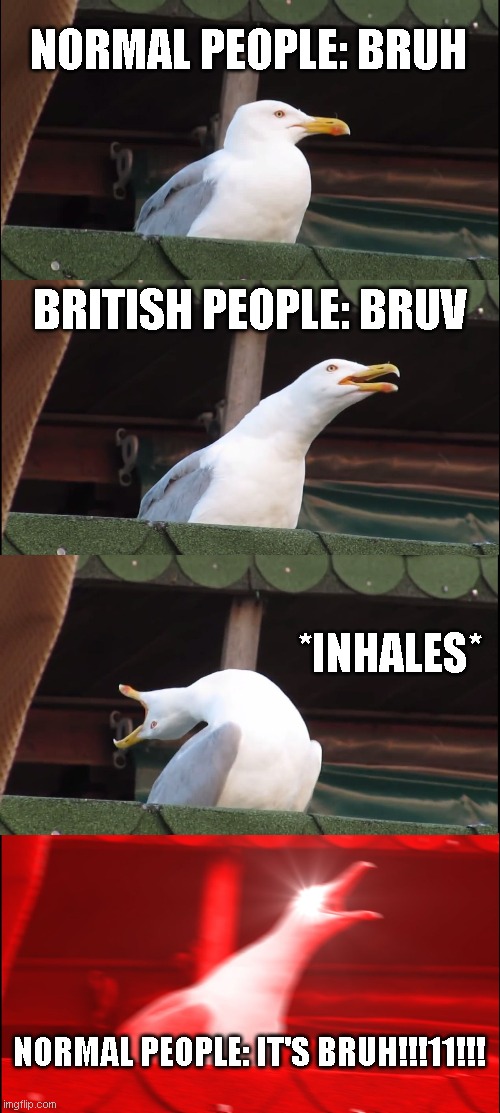 Inhaling Seagull Meme | NORMAL PEOPLE: BRUH; BRITISH PEOPLE: BRUV; *INHALES*; NORMAL PEOPLE: IT'S BRUH!!!11!!! | image tagged in memes,inhaling seagull | made w/ Imgflip meme maker