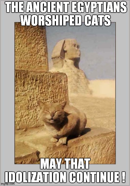 Cat Worship | THE ANCIENT EGYPTIANS; WORSHIPED CATS; MAY THAT IDOLIZATION CONTINUE ! | image tagged in cats,gods of egypt | made w/ Imgflip meme maker