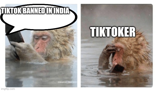 monkey with phone | TIKTOK BANNED IN INDIA; TIKTOKER | image tagged in monkey with phone | made w/ Imgflip meme maker