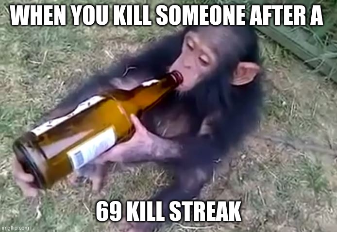 696969699669696969696969 | WHEN YOU KILL SOMEONE AFTER A; 69 KILL STREAK | image tagged in monkey on booze | made w/ Imgflip meme maker