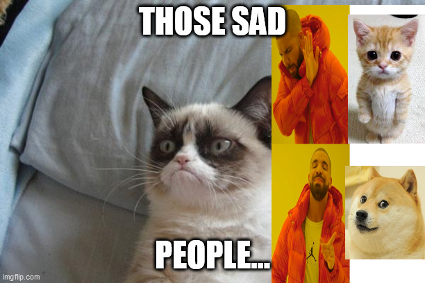 those dogs and humans | THOSE SAD; PEOPLE... | image tagged in memes,grumpy cat bed,grumpy cat | made w/ Imgflip meme maker