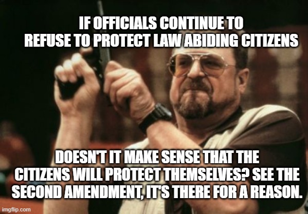 Am I The Only One Around Here Meme | IF OFFICIALS CONTINUE TO REFUSE TO PROTECT LAW ABIDING CITIZENS; DOESN'T IT MAKE SENSE THAT THE CITIZENS WILL PROTECT THEMSELVES? SEE THE SECOND AMENDMENT, IT'S THERE FOR A REASON. | image tagged in memes,am i the only one around here | made w/ Imgflip meme maker