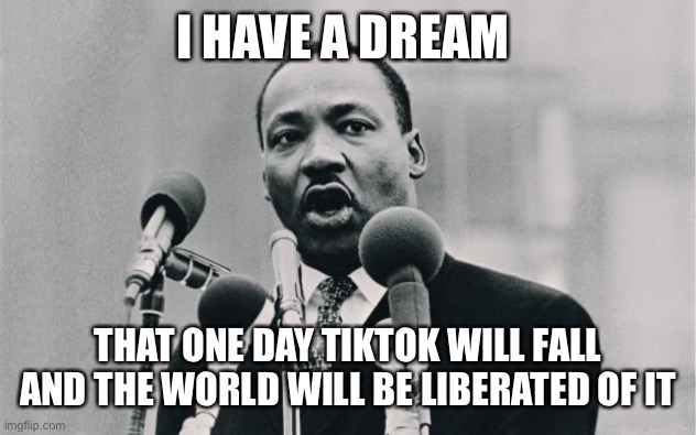 Prepare for 4th of July | I HAVE A DREAM; THAT ONE DAY TIKTOK WILL FALL AND THE WORLD WILL BE LIBERATED OF IT | image tagged in mlk jr i have a dream | made w/ Imgflip meme maker