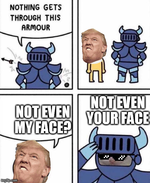 NOT EVEN THIS FACE!!! | NOT EVEN MY FACE? NOT EVEN YOUR FACE | image tagged in nothing gets through this armour,funny face,cats | made w/ Imgflip meme maker