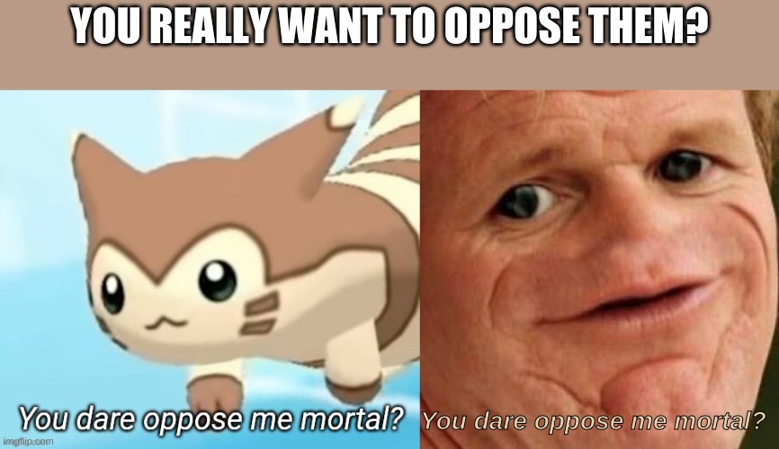 YOU REALLY WANT TO OPPOSE THEM? You dare oppose me mortal? | image tagged in sosig,furret you dare oppose me mortal | made w/ Imgflip meme maker