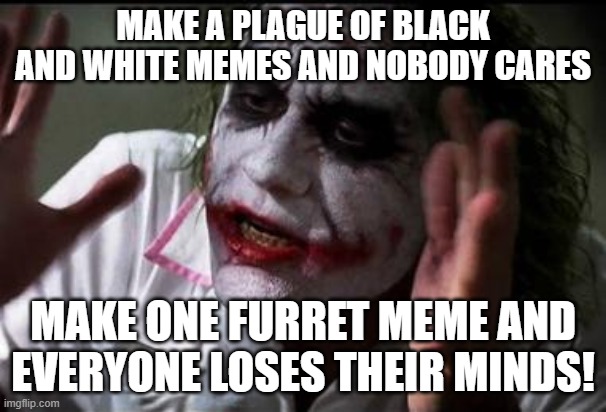 Dude, y tho? | MAKE A PLAGUE OF BLACK AND WHITE MEMES AND NOBODY CARES; MAKE ONE FURRET MEME AND EVERYONE LOSES THEIR MINDS! | image tagged in im the joker,memes,furret,i got black i got white | made w/ Imgflip meme maker