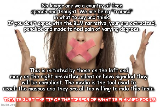 Silence | No longer are we a country of free speech and thought. We are being "trained" in what to say and think.
If you don't agree with the BLM narrative, your are ostracized, penalize and made to feel pain of varying degrees. This is initiated by those on the left and many on the right are either silent or have signaled they will be compliant. The media is the tool used to reach the masses and they are all too willing to ride this train. THIS IS JUST THE TIP OF THE ICEBERG OF WHAT IS PLANNED FOR US | image tagged in free speech,keep silent | made w/ Imgflip meme maker