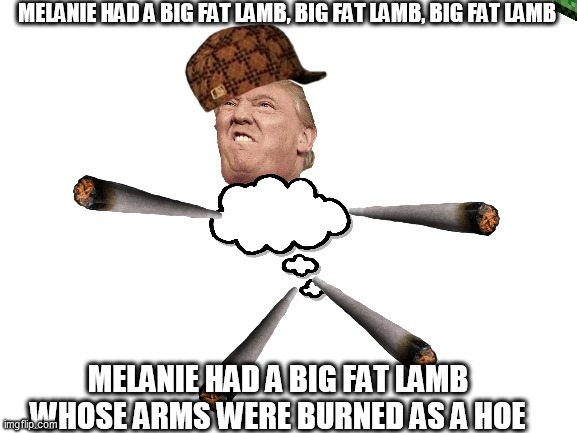 I guess this is politics ? btw this is just a dumb joke | MELANIE HAD A BIG FAT LAMB, BIG FAT LAMB, BIG FAT LAMB; MELANIE HAD A BIG FAT LAMB WHOSE ARMS WERE BURNED AS A HOE | image tagged in blank white template | made w/ Imgflip meme maker
