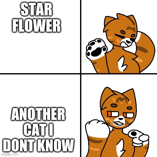 im sad. i finished 5 DoTC book. now i just need the sixth | STAR FLOWER; ANOTHER CAT I DONT KNOW | image tagged in thunder drake meme | made w/ Imgflip meme maker