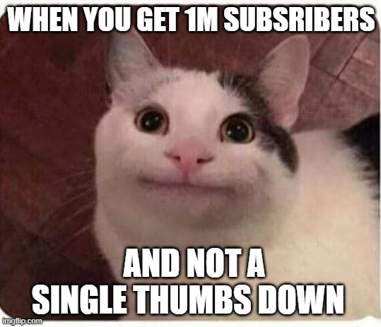 Polite Cat | WHEN YOU GET 1M SUBSCRIBERS; AND NOT A SINGLE THUMBS DOWN | image tagged in polite cat | made w/ Imgflip meme maker