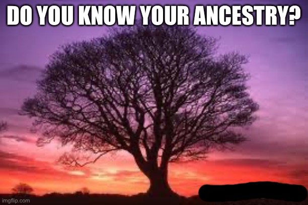 Mine is in the comments | DO YOU KNOW YOUR ANCESTRY? | image tagged in tree | made w/ Imgflip meme maker