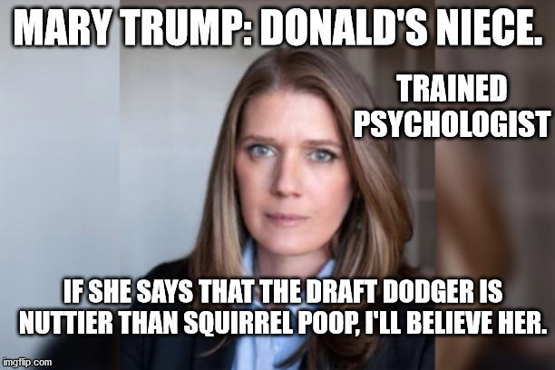 Amazing how many crazy people question her sanity | MARY TRUMP: DONALD'S NIECE. TRAINED PSYCHOLOGIST; IF SHE SAYS THAT THE DRAFT DODGER IS NUTTIER THAN SQUIRREL POOP, I'LL BELIEVE HER. | image tagged in mary trump,nutty uncle don,family embarrassment | made w/ Imgflip meme maker