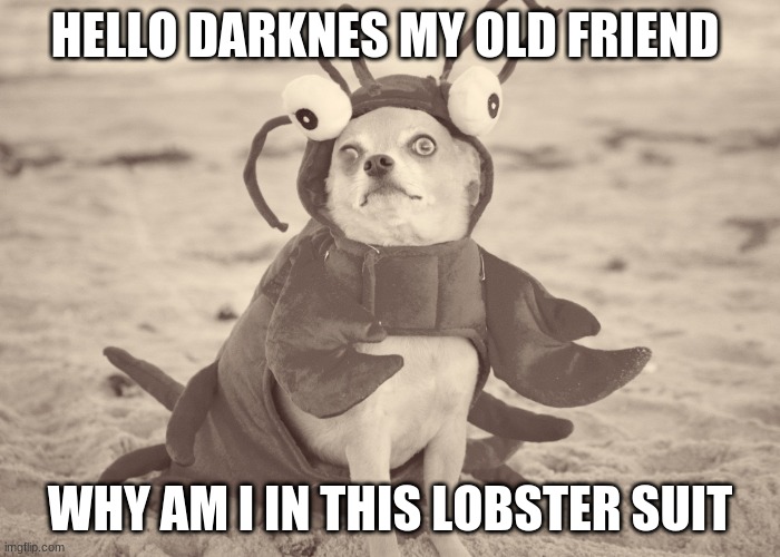 lobster suit with a dog | HELLO DARKNES MY OLD FRIEND; WHY AM I IN THIS LOBSTER SUIT | image tagged in memes | made w/ Imgflip meme maker
