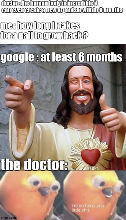 doctor : the human body is incredible it can even create a new organism within 9 months; me : how long it takes for a nail to grow back ? google : at least 6 months; the doctor: | image tagged in memes,buddy christ,listen here you little shit bird,doctor,google | made w/ Imgflip meme maker