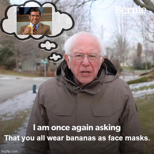 Bernie I Am Once Again Asking For Your Support Meme | That you all wear bananas as face masks. | image tagged in memes,bernie i am once again asking for your support,bananas,face mask,steve carell banana | made w/ Imgflip meme maker
