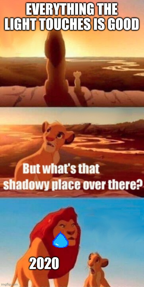 Simba Shadowy Place | EVERYTHING THE LIGHT TOUCHES IS GOOD; 2020 | image tagged in memes,simba shadowy place | made w/ Imgflip meme maker