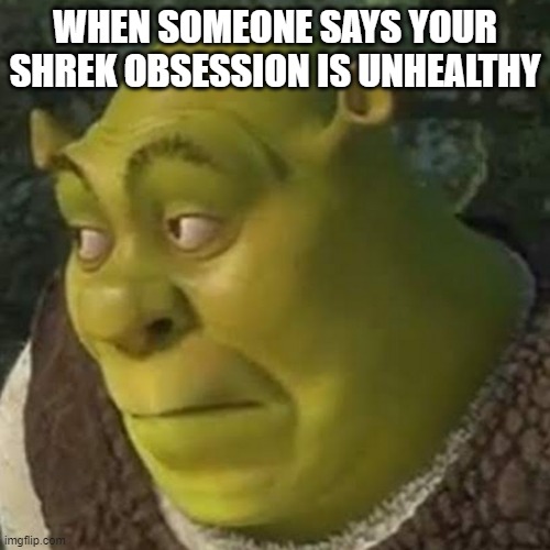 WHEN SOMEONE SAYS YOUR SHREK OBSESSION IS UNHEALTHY | image tagged in memes,shrek | made w/ Imgflip meme maker