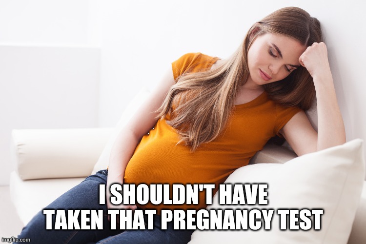 I SHOULDN'T HAVE TAKEN THAT PREGNANCY TEST | made w/ Imgflip meme maker