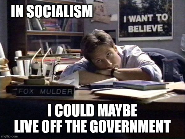 Socialist mulder | IN SOCIALISM I COULD MAYBE LIVE OFF THE GOVERNMENT | image tagged in mulder i want to believe,socialism,lazy,millennials,x-files | made w/ Imgflip meme maker