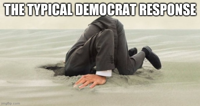 head in the sand | THE TYPICAL DEMOCRAT RESPONSE | image tagged in head in the sand | made w/ Imgflip meme maker
