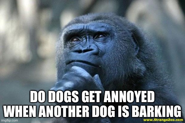 Deep Thoughts | DO DOGS GET ANNOYED WHEN ANOTHER DOG IS BARKING | image tagged in deep thoughts | made w/ Imgflip meme maker
