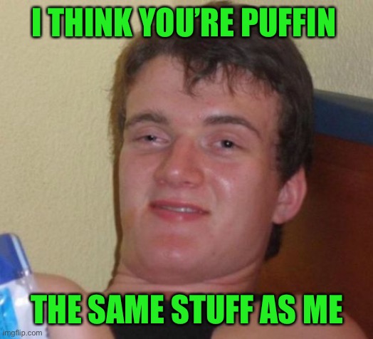 10 Guy Meme | I THINK YOU’RE PUFFIN THE SAME STUFF AS ME | image tagged in memes,10 guy | made w/ Imgflip meme maker