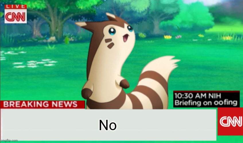 Breaking News Furret | No | image tagged in breaking news furret | made w/ Imgflip meme maker