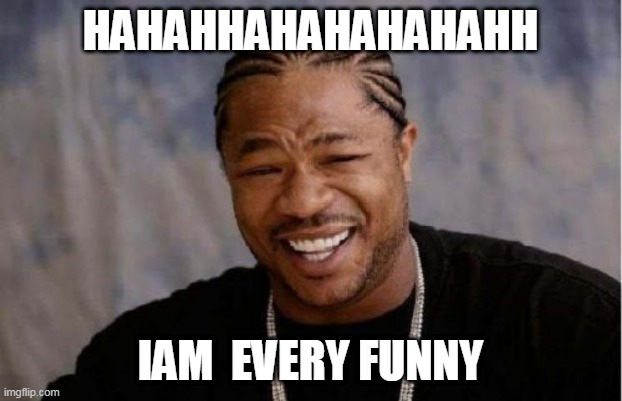 Yo Dawg Heard You | HAHAHHAHAHAHAHAHH; IAM  EVERY FUNNY | image tagged in memes | made w/ Imgflip meme maker