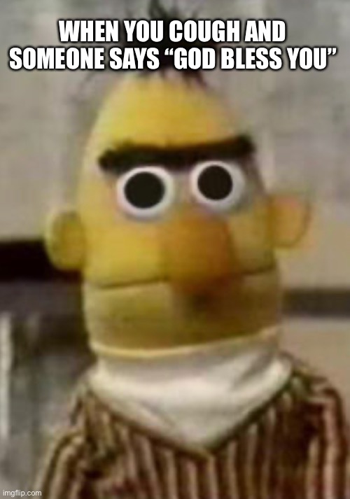 When you cough and someone says god bless you | WHEN YOU COUGH AND SOMEONE SAYS “GOD BLESS YOU” | image tagged in sneeze,cough,funny,memes,bert and ernie | made w/ Imgflip meme maker