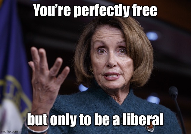 Good old Nancy Pelosi | You’re perfectly free but only to be a liberal | image tagged in good old nancy pelosi | made w/ Imgflip meme maker