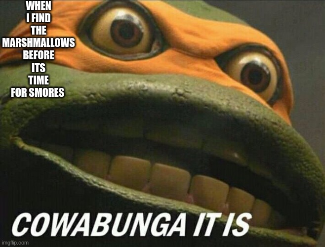 Cowabunga it is | WHEN I FIND THE MARSHMALLOWS BEFORE ITS TIME FOR SMORES | image tagged in cowabunga it is | made w/ Imgflip meme maker