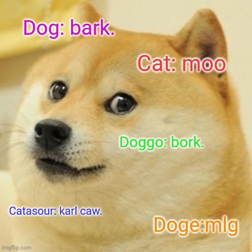 Doge Meme | Dog: bark. Cat: moo; Doggo: bork. Catasour: karl caw. Doge:mlg | image tagged in memes,doge | made w/ Imgflip meme maker