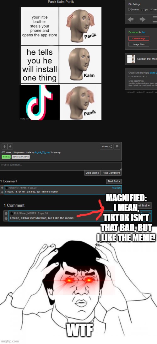 wtf?!? | MAGNIFIED: I MEAN, TIKTOK ISN'T THAT BAD, BUT I LIKE THE MEME! WTF | image tagged in memes,jackie chan wtf | made w/ Imgflip meme maker