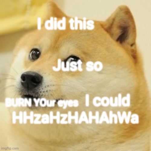 Doge Meme | I did this; Just so; HHzaHzHAHAhWa; BURN YOur eyes; I could | image tagged in memes,doge | made w/ Imgflip meme maker