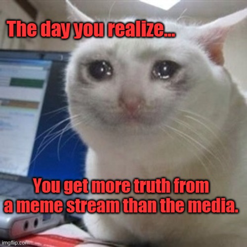 Meme... the 4th branch of the check and balance. | The day you realize... You get more truth from a meme stream than the media. | image tagged in crying cat,meme,media,truth | made w/ Imgflip meme maker
