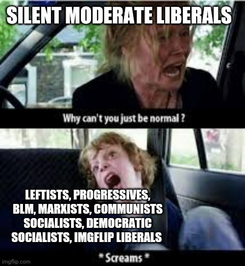 Why cant you just be normal? | SILENT MODERATE LIBERALS; LEFTISTS, PROGRESSIVES, BLM, MARXISTS, COMMUNISTS SOCIALISTS, DEMOCRATIC SOCIALISTS, IMGFLIP LIBERALS | image tagged in why cant you just be normal | made w/ Imgflip meme maker