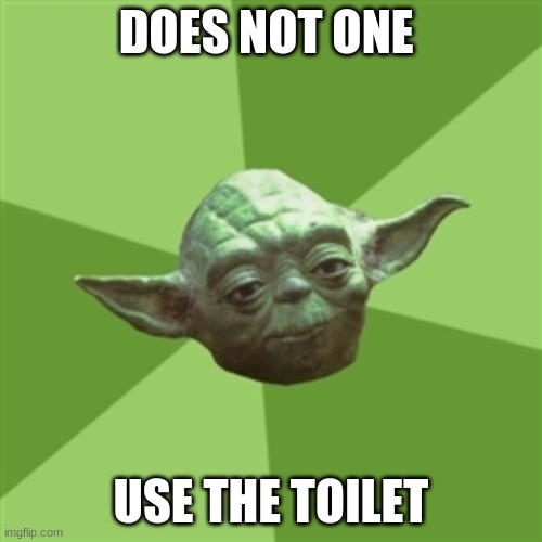 Advice Yoda | DOES NOT ONE; USE THE TOILET | image tagged in memes,advice yoda | made w/ Imgflip meme maker
