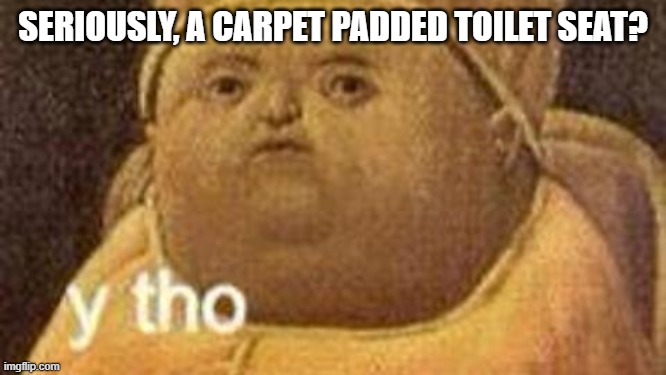 why tho | SERIOUSLY, A CARPET PADDED TOILET SEAT? | image tagged in why tho | made w/ Imgflip meme maker